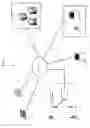 Fig. 02 - Proximity navigation