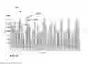 Fig. 07 - Graphical interface data fragment operations for data visualization
