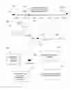 Fig. 14 - Group membership content presentation and augmentation system and method