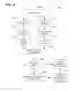 Fig. 09 - SYSTEM, METHOD, AND APPARATUS THAT FACILITATES MODIFYING A TEXTUAL INPUT