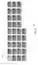 Fig. 09 - Method and apparatus for displaying thumbnail image