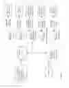 Fig. 22 - REMOTE TRANSFER OF ELECTRONIC IMAGES TO A VEHICLE