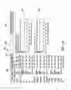 Fig. 28 - Creating, provisioning and managing virtual data centers
