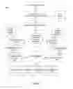 Fig. 02 - Delivery of content and priority messages