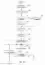 Fig. 06 - Buffering content