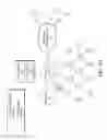 Fig. 04 - Throttling and limiting the scope of neighbor solicitation (NS) traffic
