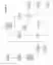 Fig. 05 - SYSTEM AND METHOD OF IDENTITY VERIFICATION IN A VIRTUAL ENVIRONMENT