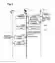 Fig. 04 - Non-transitory computer readable medium, server and system