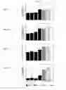 Fig. 03 - In vivo cellular screening methods and compositions for modeling and treating nervous system dysfunction