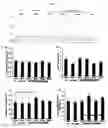 Fig. 04 - In vivo cellular screening methods and compositions for modeling and treating nervous system dysfunction