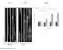 Fig. 09 - In vivo cellular screening methods and compositions for modeling and treating nervous system dysfunction