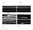 Fig. 10 - In vivo cellular screening methods and compositions for modeling and treating nervous system dysfunction