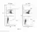 Fig. 63 - Animal models and therapeutic molecules