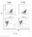 Fig. 65 - Animal models and therapeutic molecules