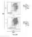 Fig. 72 - Animal models and therapeutic molecules