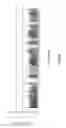 Fig. 13 - Compositions and methods for diagnosis of genetic susceptibility, resistance, or tolerance to infection by mycobacteria and bovine paratuberculosis using promoter variants of EDN2