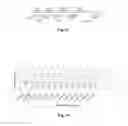 Fig. 14 - Compositions and methods for diagnosis of genetic susceptibility, resistance, or tolerance to infection by mycobacteria and bovine paratuberculosis using promoter variants of EDN2