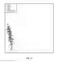 Fig. 16 - Compositions and methods for diagnosis of genetic susceptibility, resistance, or tolerance to infection by mycobacteria and bovine paratuberculosis using promoter variants of EDN2