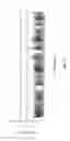 Fig. 17 - Compositions and methods for diagnosis of genetic susceptibility, resistance, or tolerance to infection by mycobacteria and bovine paratuberculosis using promoter variants of EDN2