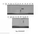 Fig. 23 - Compositions and methods for diagnosis of genetic susceptibility, resistance, or tolerance to infection by mycobacteria and bovine paratuberculosis using promoter variants of EDN2