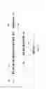 Fig. 06 - TRANSGENIC ANIMALS AND METHODS OF USE