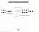 Fig. 05 - Transgenic insect cells comprising a bacterial GlcNAc-6-P 2′-epimerase