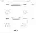 Fig. 11 - Transgenic insect cells comprising a bacterial GlcNAc-6-P 2′-epimerase