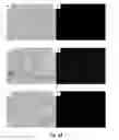 Fig. 15 - Transgenic insect cells comprising a bacterial GlcNAc-6-P 2′-epimerase