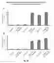 Fig. 19 - Transgenic insect cells comprising a bacterial GlcNAc-6-P 2′-epimerase
