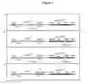 Fig. 03 - REPRESSIBLE LETHAL SYSTEM FOR REGULATING INSECT POPULATIONS