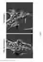 Fig. 07 - Genetically modified mouse with an inducible gene with a mutant R206H exon 5 that has ectopic bone formation