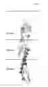 Fig. 05 - Insecticidal proteins and methods of use