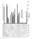 Fig. 02 - Pericycle-specific expression of microRNA167 in plants