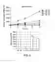 Fig. 07 - Rerouting the photorespiration pathway in plants for increasing bioproduct yield