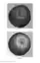 Fig. 02 - Apple Tree Named 'BAB 2000'