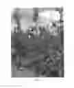 Fig. 04 - Apple Tree Named 'Delcored'