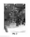 Fig. 02 - Grape plant named 'Stargrape 1'