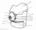 Fig. 01 - Cold Weather Exposure Mask