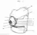Fig. 02 - Cold Weather Exposure Mask