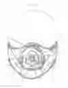 Fig. 19 - Cold Weather Exposure Mask