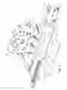 Fig. 04 - Stabilizing Belt with Harness