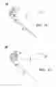 Fig. 08 - Hand Trowel