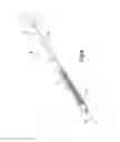 Fig. 07 - Method for manufacturing steerable catheter with rapid exchange lumen