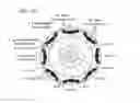 Fig. 34 - Permanent magnet electric motor