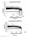 Fig. 07 - Lithium-iron disulfide cell design