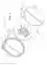 Fig. 02 - TRANSLUCENT PET TAG COVER