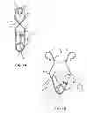 Fig. 02 - Spring-Loaded Fish Hook