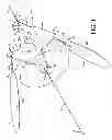 Fig. 02 - FISH ATTRACTING FLASHER DEVICE