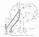 Fig. 01 - Apple and Fruit Harvester