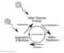 Fig. 01 - Apparatus and method for producing electricity and treated water